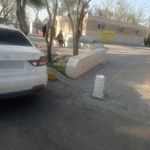 سرویس بهداشتی