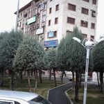 دکترشهرام ذوالجلالی