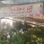 گل دهکده