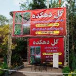 گل دهکده