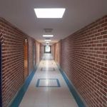 سرویس بهداشتی