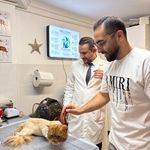 کلینیک دامپزشکی دکتر حمید داودی نیا