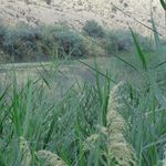 دریاچه قره آغاج