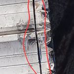 سید سعید محمودی