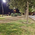 بوستان امام زاده قاسم