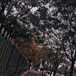 هنرستان هنر های زیبای میرک