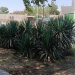 بوستان امام زاده قاسم