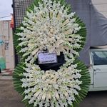 گل فروشی دنیز (آنلاین) -ارسال فوری