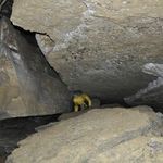 غار بلع زار