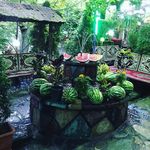 رستوران جویبار