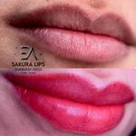 مرکز تخصصی میکرو بلیدینگ شبنم عابدی