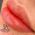 مرکز تخصصی میکرو بلیدینگ شبنم عابدی