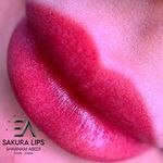 مرکز تخصصی میکرو بلیدینگ شبنم عابدی