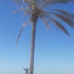 اقامتگاه طاها