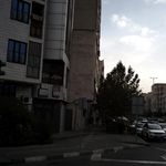 دنداپزشکی