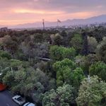بوستان سردار جنگل