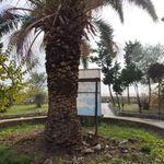 رستوران جزیره آشوراده