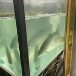 هایپر گوشت و مرغ آقای مزه