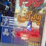 لوازم یدکی شفیعی