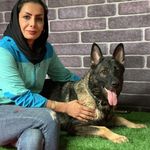 مربی سگ | باشگاه تربیت سگ سما | سمانه سرابندی