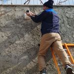 اکبر نوری فرد