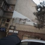 دامپزشک میلاد