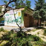 سرویس بهداشتی