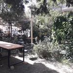 کافه شمعدونی