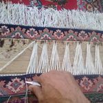 قالیشویی سپید( توانا)