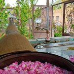 گلابگیری میراث کعبه