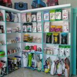 کلینیک دامپزشکی رایکا (متل قو)