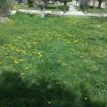 شهر بازی پارک ملت