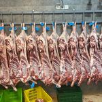 پروتئین روز به روز