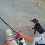 آکادمی آلفا