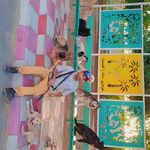 آکادمی آلفا