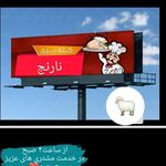 طباخی نارنج