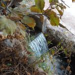 منطقه ییلاقی سفید خانی روستای تلاتر