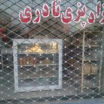 نانوایی
