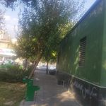 سرویس بهداشتی