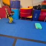 مدرسه ژیمناستیک ماهانا