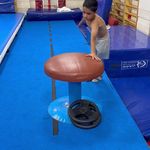 مدرسه ژیمناستیک ماهانا