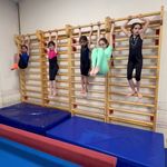 مدرسه ژیمناستیک ماهانا