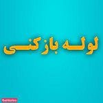 خدمات فنی پایتخت