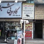 کادویی شبنم