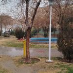 بوستان زیتون