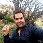 گردنه شول