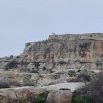 کتیبه تنگ تکاب