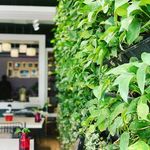 کافه رستوران گیاه