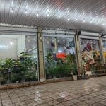 گل فروشی پالیز