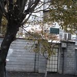 دکتر محمود شهزادی